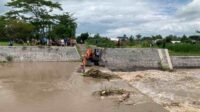 Ancam Banjir, Sampah Sumbat Sabo Dam Sungai Konto Jombang Berhasil Diangkat