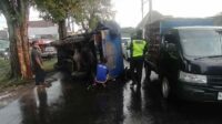 Diduga Ngantuk, Truk Muatan Beras 5 Ton Hantam Pohon Lalu Terguling
