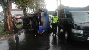 Diduga Ngantuk, Truk Muatan Beras 5 Ton Hantam Pohon Lalu Terguling