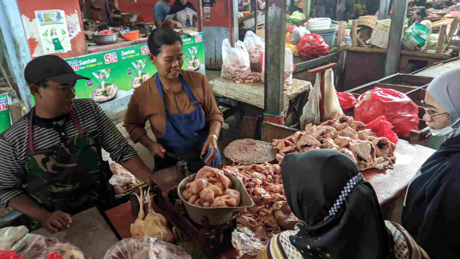 Harga Daging Ayam