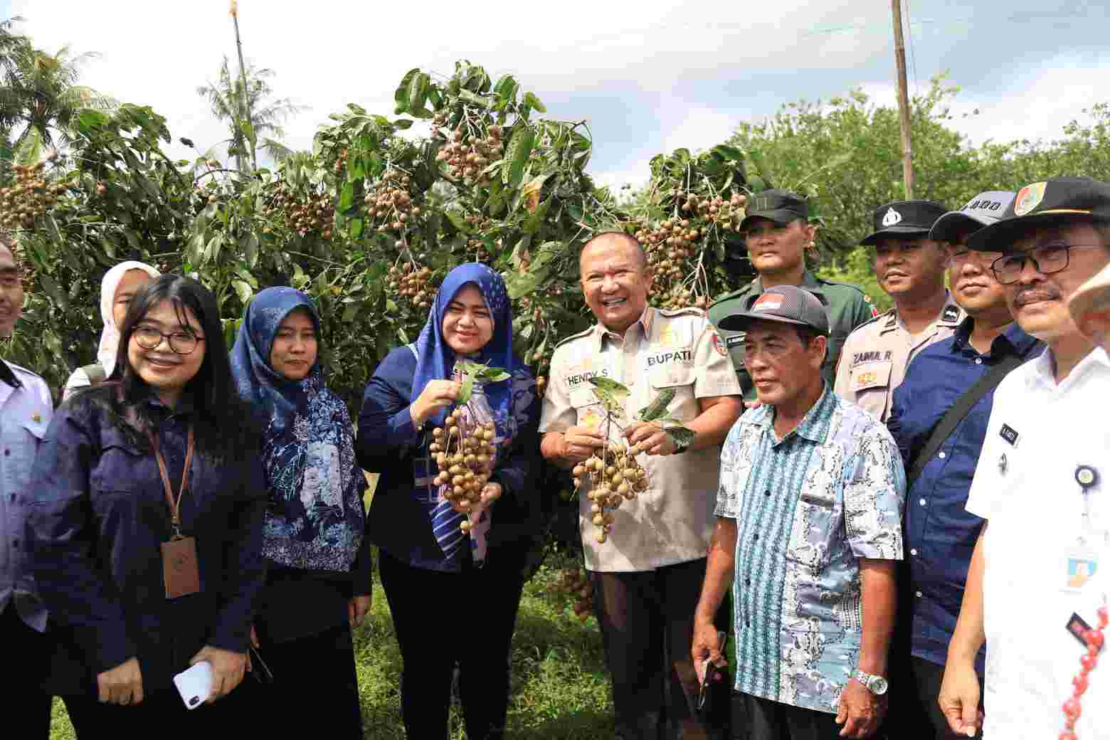 Kelengkeng Jemsu
