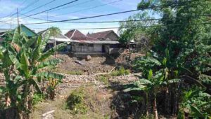 Longsor di Kecamatan Kedungadem, Ancam Robohkan Dua Rumah Warga
