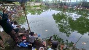 Serunya Ngabuburit Sambil Mabar di Kolam Pancing Pak Cellep Wirolegi Jember