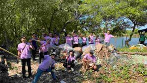 Peringati Hari Keanekaragaman Hayati Sedunia, Novotel Samator Gelar Aksi Bersih-bersih Mangrove