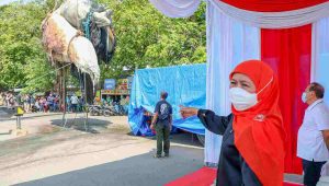 Bangkai Paus Balin Dibawa ke Museum Jatim Park untuk Wisata Edukasi