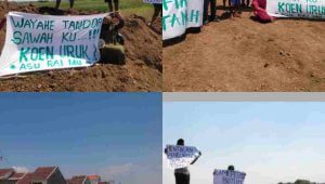 Lahan Gogol Gilir Diserobot Pengembang, Petani Urangagung Kembali Protes