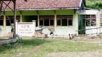 Ada Kandang Ternak di Depan Kelas, KBM di SDN Madulang 2 Terganggu