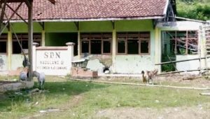 Ada Kandang Ternak di Depan Kelas, KBM di SDN Madulang 2 Terganggu