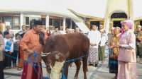 Bupati dan Wabup Jember Patungan 5 Ekor Sapi Kurban pada Idul Adha 1444 Hijriah