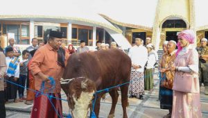 Bupati dan Wabup Jember Patungan 5 Ekor Sapi Kurban pada Idul Adha 1444 Hijriah