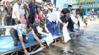 Wabup Jember Bersama Dandim 0824 Tabur Ribuan Benih Ikan di Sungai Ajung