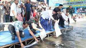 Wabup Jember Bersama Dandim 0824 Tabur Ribuan Benih Ikan di Sungai Ajung