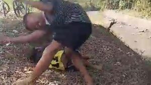 Duh, Bocah SD di Jombang Ini Tak Berkutik Dipukul dan Ditendang Teman Sekelas