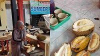 Lumajang Punya Durian Sultan, Rasanya Sangat Enak
