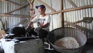 Jajan Tradisional Brondong Gabah Ketan Kian Eksis di Jombang