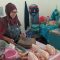Harga daging ayam