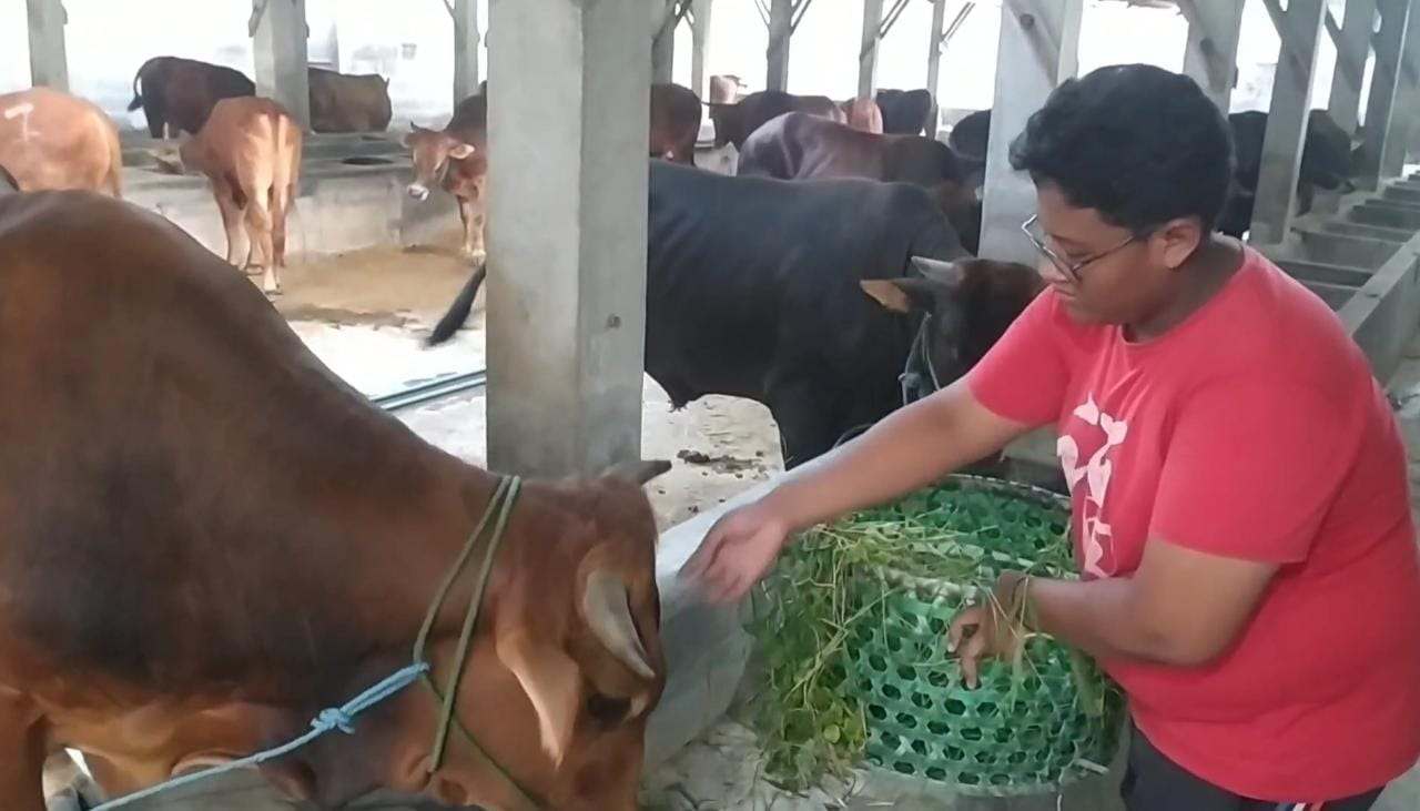 Hari raya Qurban