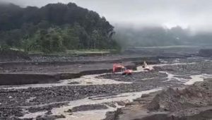 Banjir Semeru Bikin DAM Mampet, Ratusan Hektare Sawah Terancam Kekeringan