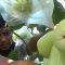 Jambu air