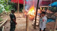 Arena Sabung Ayam di Desa Ngawonggo Tajinan Diobrak Abrik, Puluhan Penjudi Berhamburan