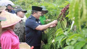 Rangkaian Krida Fest, Bupati Hendy Sarasehan Bareng Petani Kopi di Desa Pace