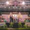 Pagelaran wayang