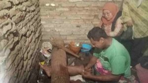 Secercah Harapan Pria di Pasungan Usai Dijenguk Dinsos Jember