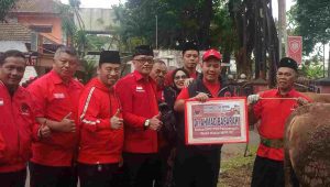 DPC PDI Perjuangan Kota Malang Kurban 6 Ekor Sapi dan 1 Ekor Kambing