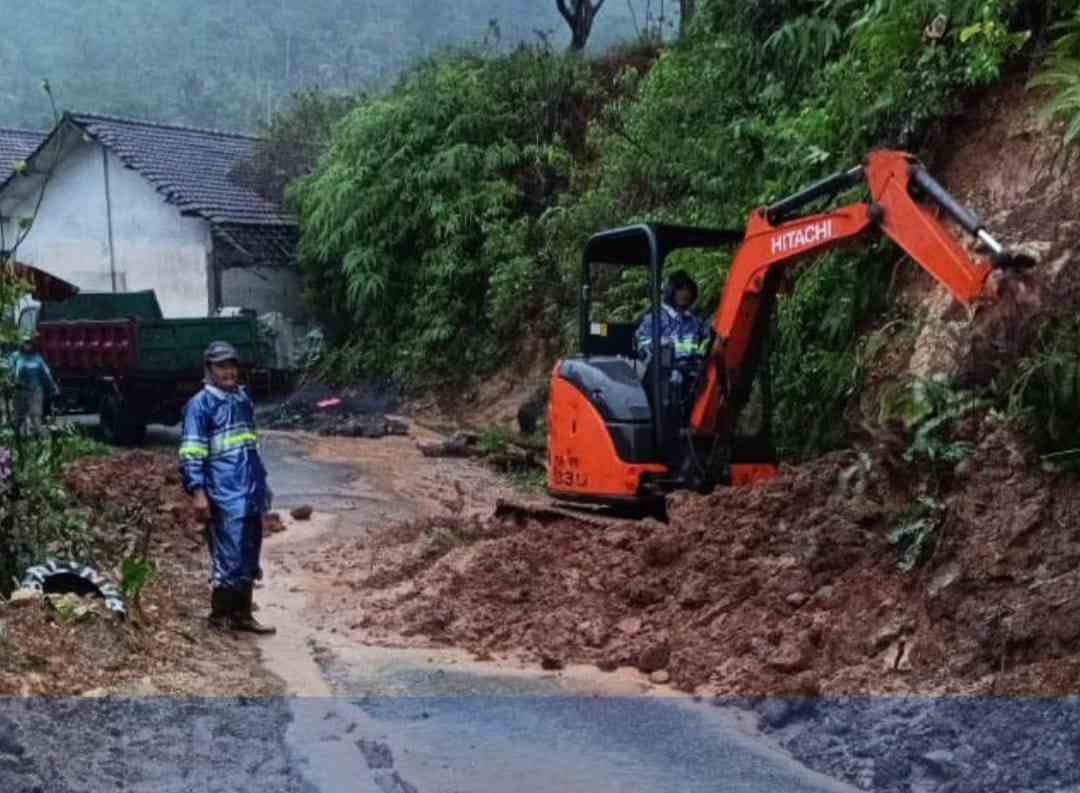 Tanah longsor