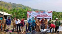 Budidaya Nila di Sumberngepoh Lawang Jadi Wisata Baru