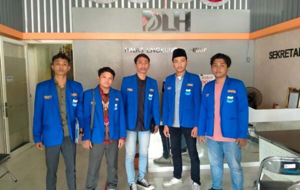 PMII DLH