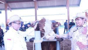 Tinjau Produksi Semen Beku Sapi di BBIB Singosari, Wamentan Pastikan Kualitas Bisa Meningkat