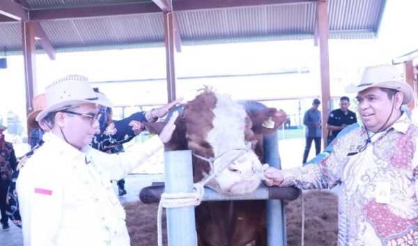 Semen Beku Sapi