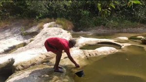 Warga Jombang Terbantu Sungai di Kala Kemarau Panjang dan Debit Air Mengurang