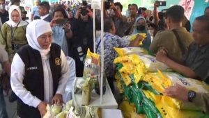 Senangnya Warga Jombang Berburu Bapok di Pasar Murah dan Bantuan dari Gubernur Khofifah