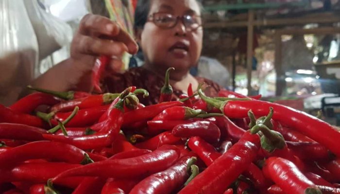 Jelang Maulid Nabi, Harga Cabai di Probolinggo Kian Naik