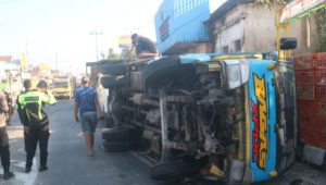 Ngantuk, Truk Terguling, Ribuan Ayam Berhamburan di Jalan Jombang