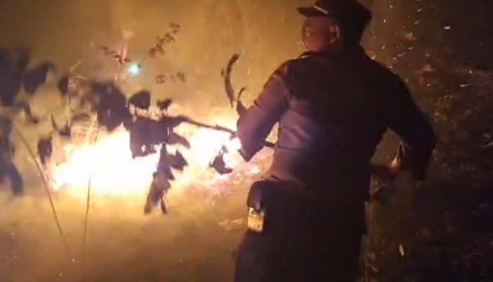 Lahan Kosong di Pamekasan Kebakaran, Polisi Gercep Padamkan Api