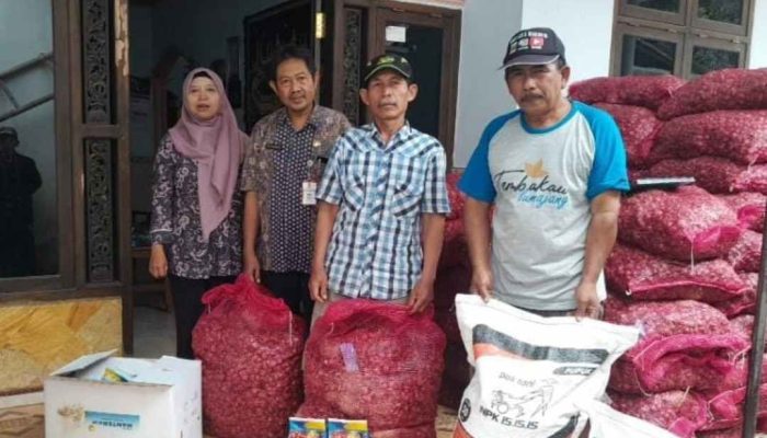Pemkab Lumajang Sosialisasi DBHCHT dan Gelontor Bibit Bawang Merah