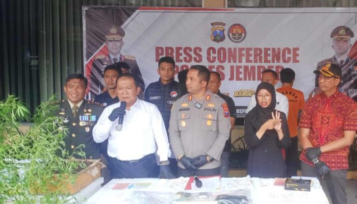 Rasa Gundah Bupati Hendy Memuncak Lihat Warga Jember Budidaya Ganja