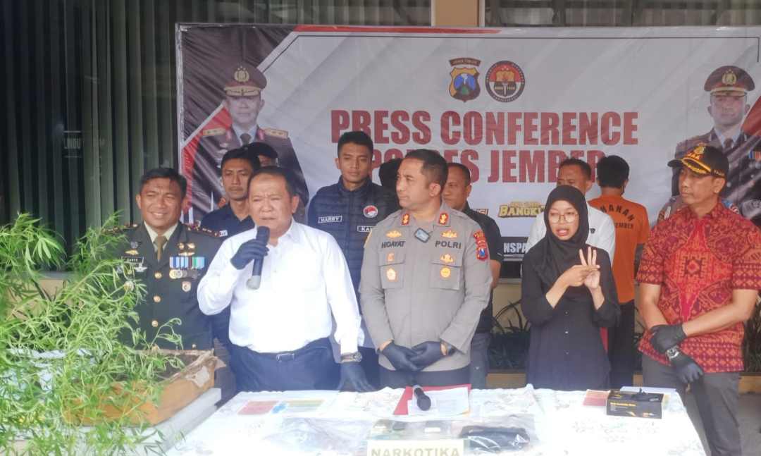 Budidaya Ganja