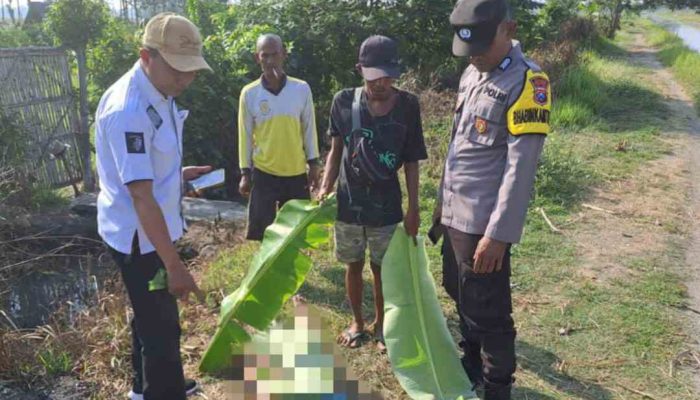 Jember Geger, Mayat Perempuan Leher Tergorok Ditemukan di Sungai