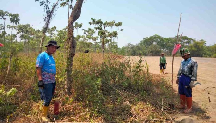 Sengketa Pabrik Kayu vs Pemdes, LBSI: Bawa ke Ranah Hukum !