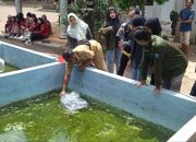 Turunkan PTK, Mahasiswa Unmuh Jember Beri Benih Ikan kepada Warga