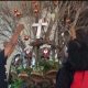 Pohon natal