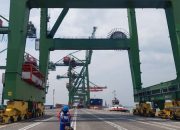 PT Teluk Lamong Optimis Pertumbuhan Arus Petikemas di 2024