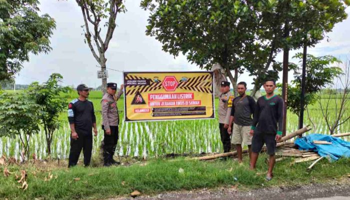 Polisi Wirotani Ngawi Gropyokan Tikus, Ini Tujuannya