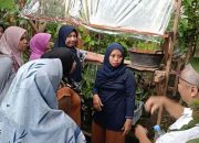 Dosen Unmuh Jember Kembangkan Urban Farming di Pinggiran Sungai Bedadung