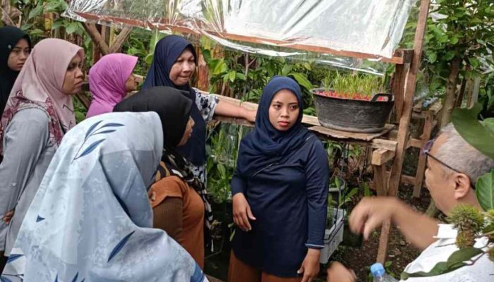 Dosen Unmuh Jember Kembangkan Urban Farming di Pinggiran Sungai Bedadung