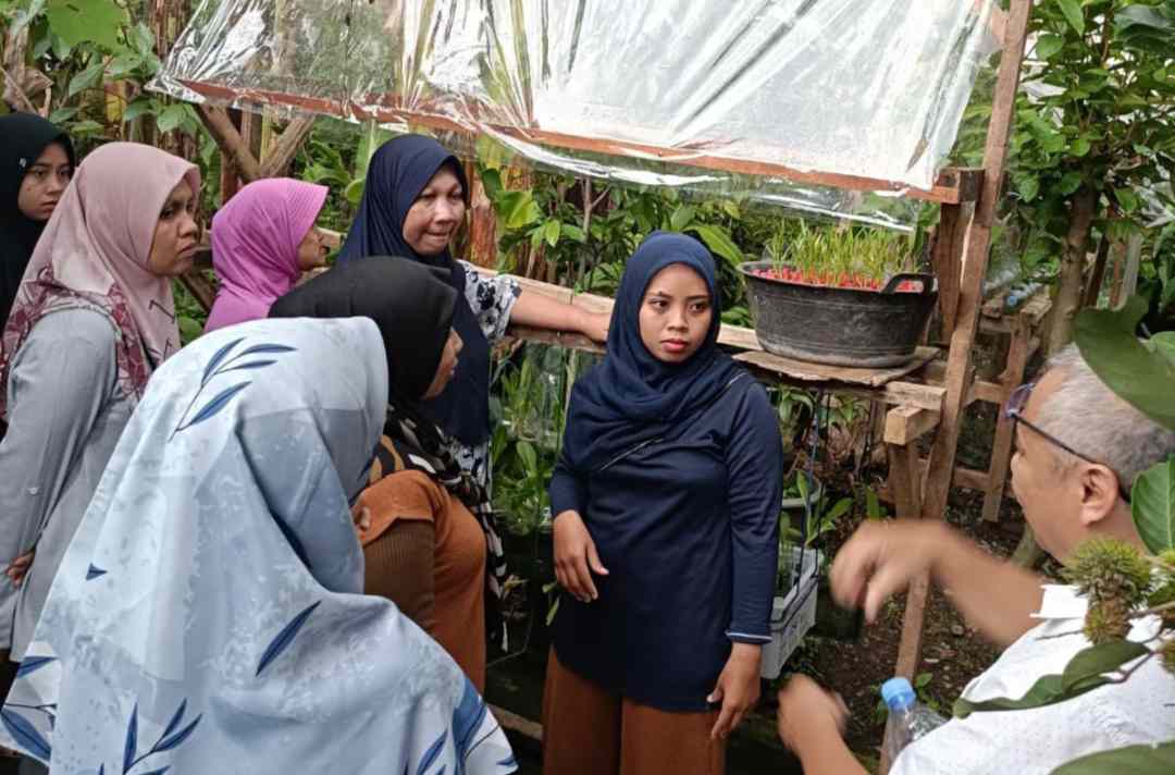 urban farming